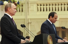 Ai Cập và Nga nhất trí giải pháp chính trị tại Syria
